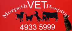 dog training morpeth veterinary hospital