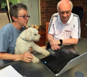 Dogs and their Blogs