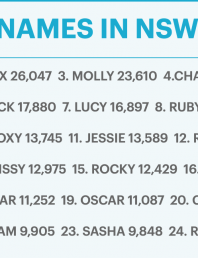 What’s in a name? Top NSW dog names of 2020!