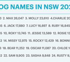 What’s in a name? Top NSW dog names of 2020!